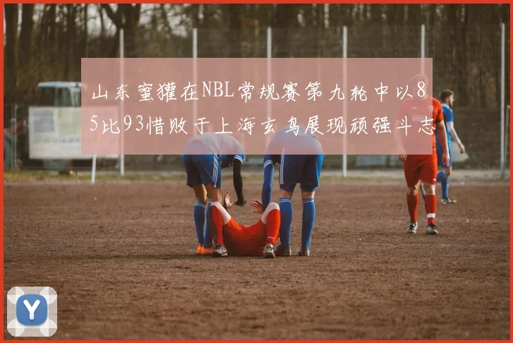 山东蜜獾在NBL常规赛第九轮中以85比93惜败于上海玄鸟展现顽强斗志