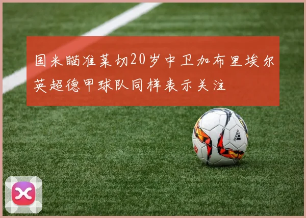 国米瞄准莱切20岁中卫加布里埃尔英超德甲球队同样表示关注